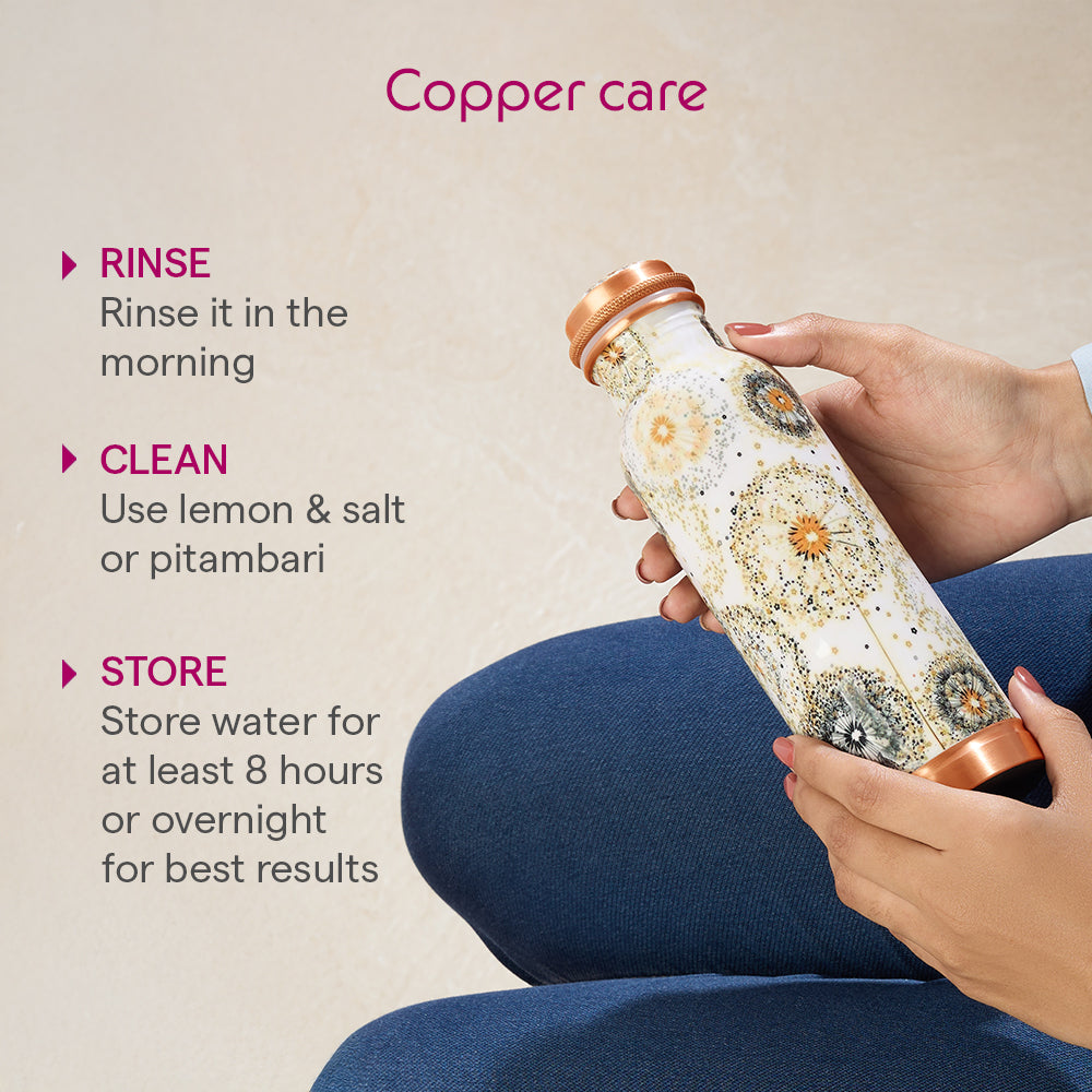 Borosil Thirtha Vesta Copper Bottle