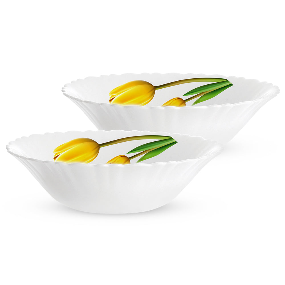 Borosil Larah Lyana Multipurpose Bowl Set 2 pc Set