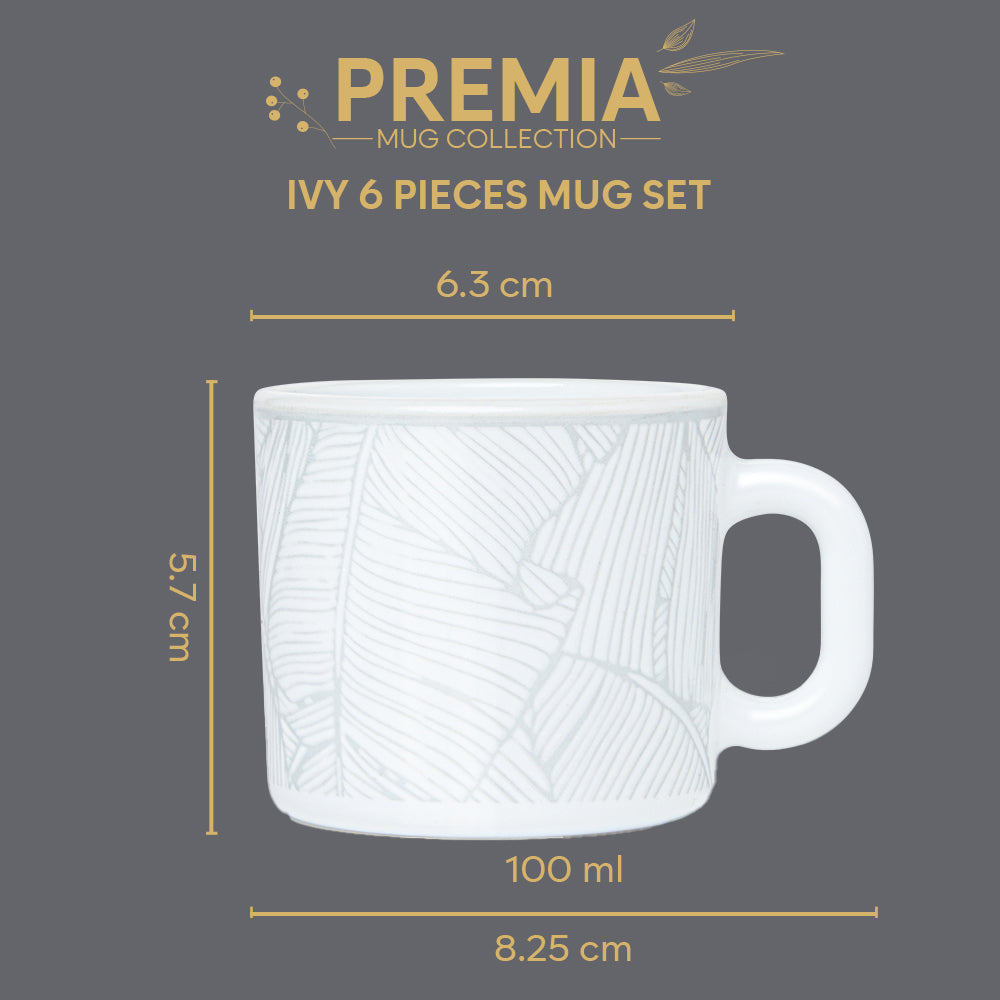 Borosil Larah Ivy Mug Set
