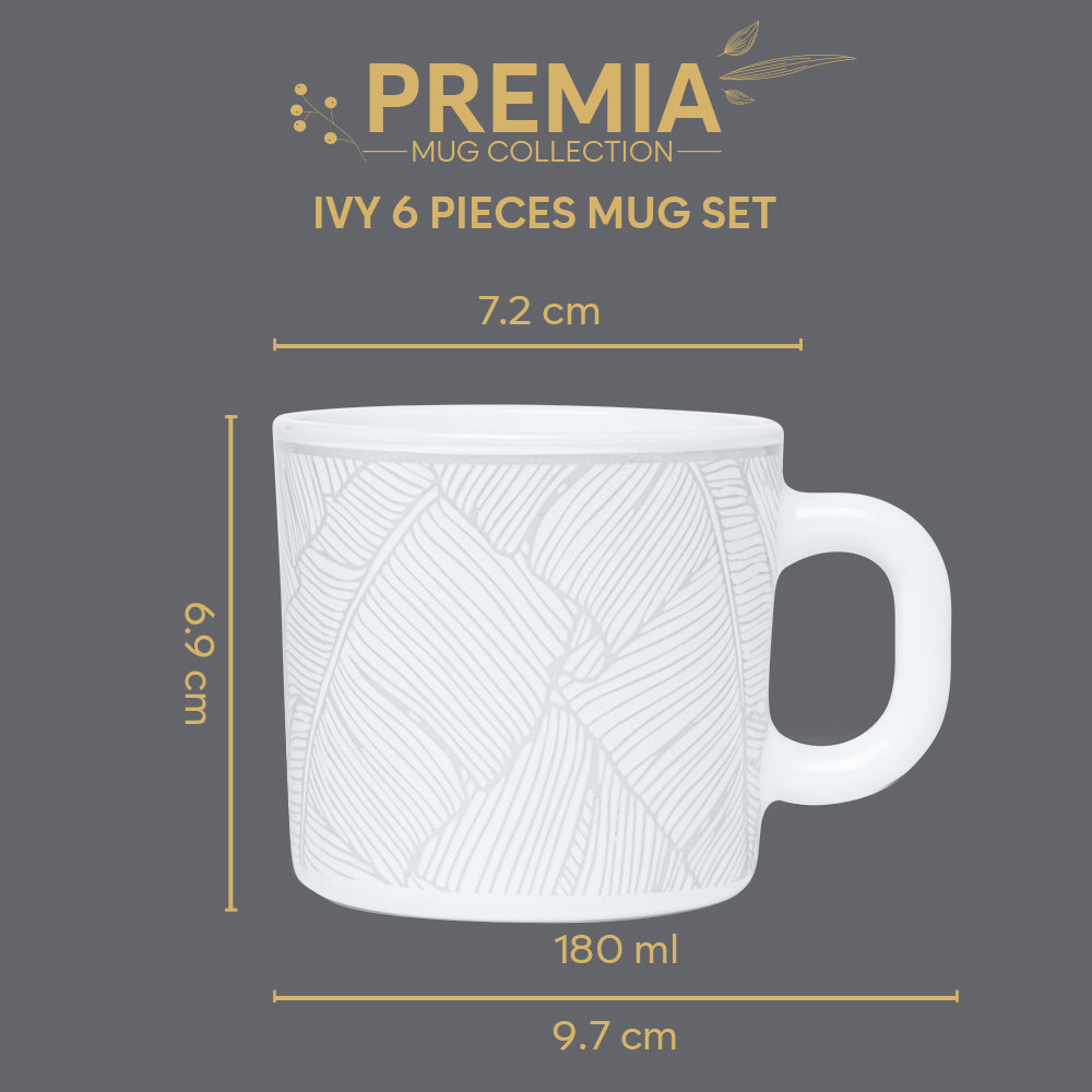 Borosil Larah Ivy Mug Set