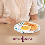 Borosil Larah Merlin 13 pc Dinner Set