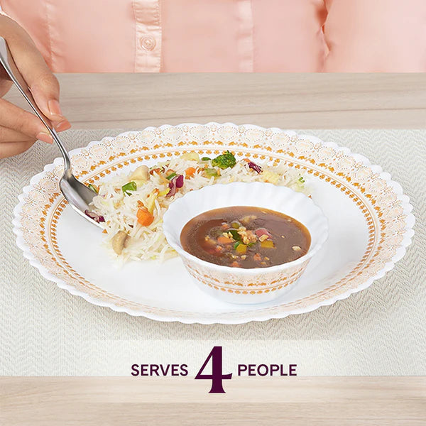 Borosil Larah Halo 17 pc Dinner Set
