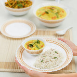 Borosil Larah Halo 17 pc Dinner Set