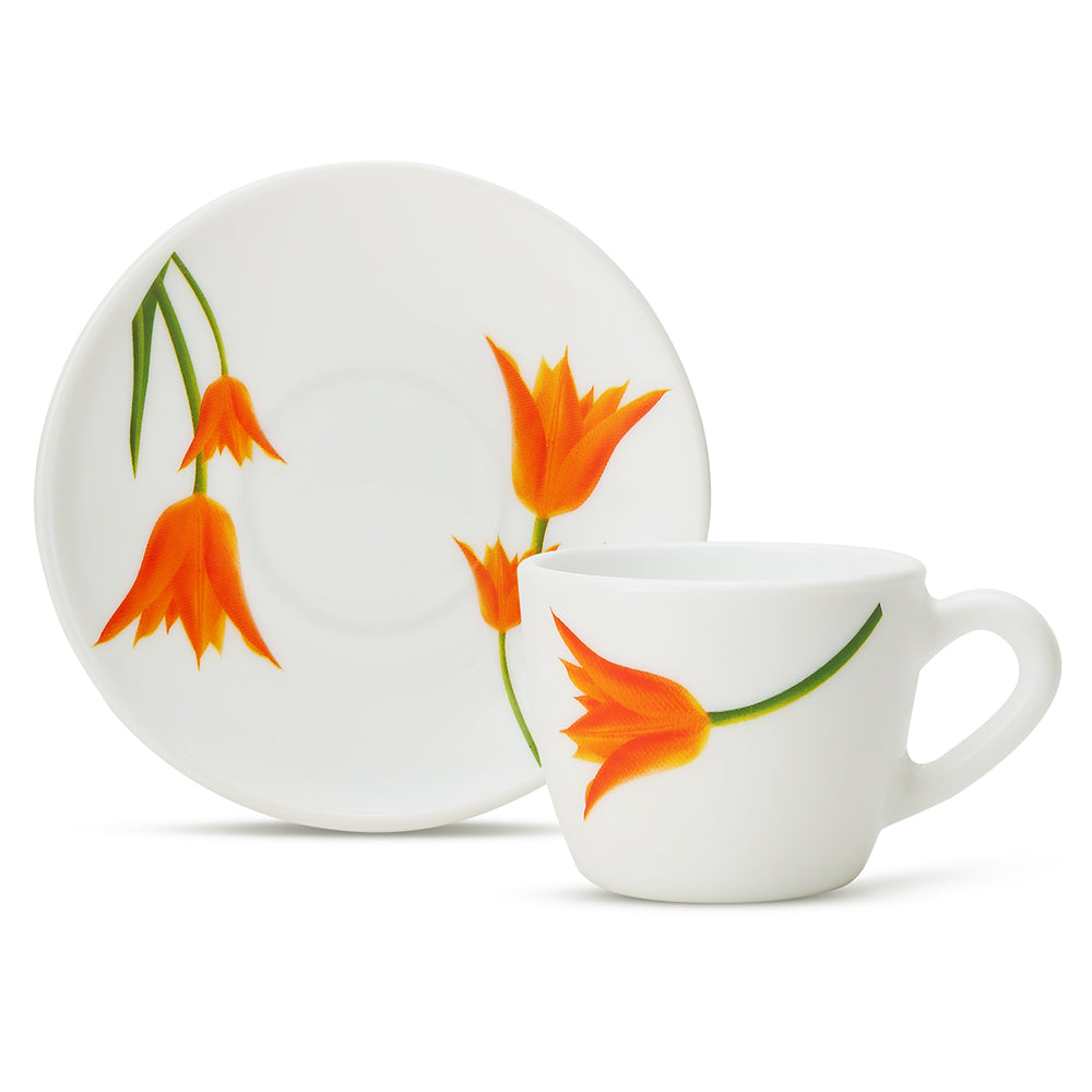 Borosil Larah Firefly Cup n Saucer Set