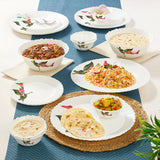 Borosil Larah Stargazer Dinner Set, 21 pc