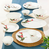 Borosil Larah Stargazer Dinner Set, 21 pc