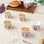 Set of 6 100ml