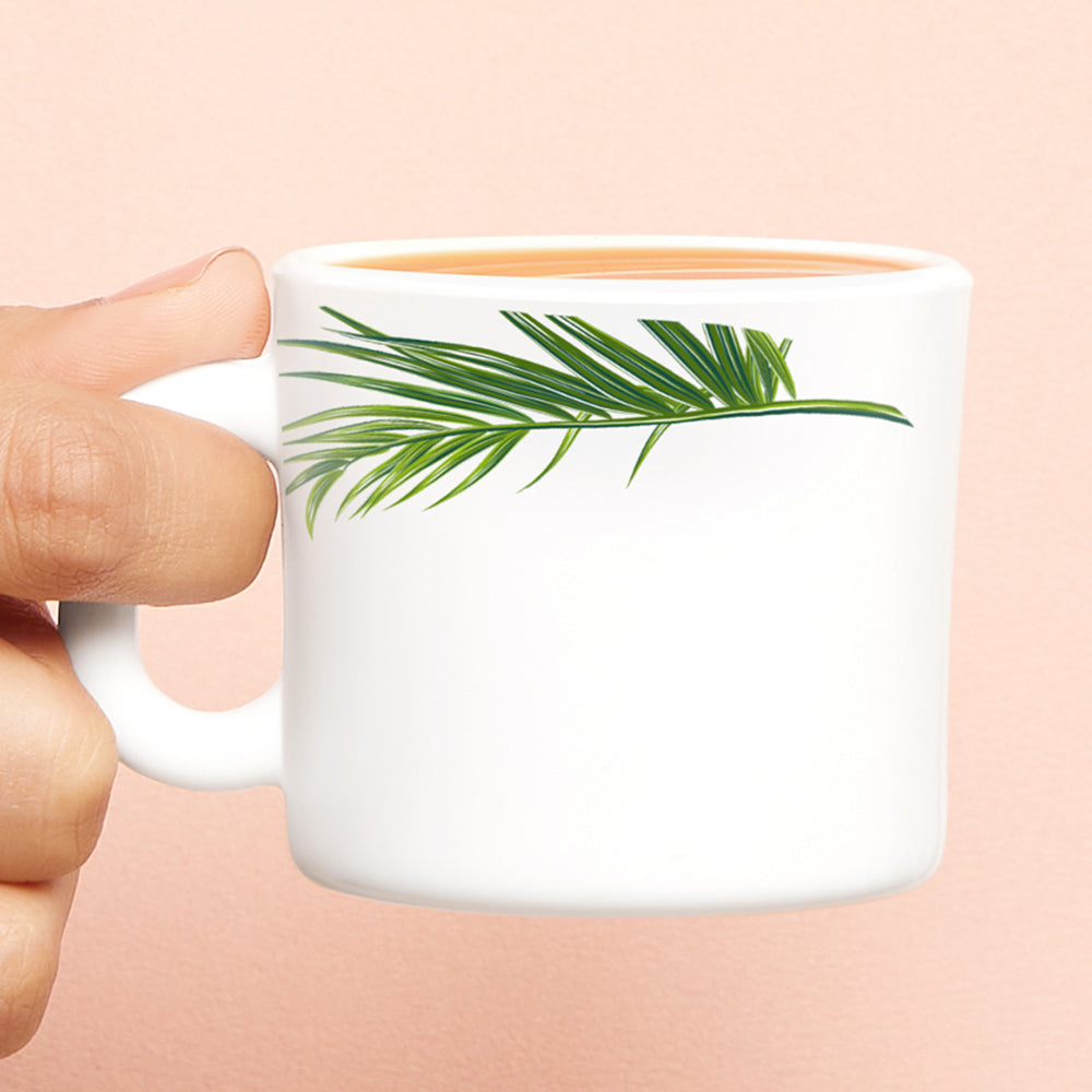 Borosil Crescent Mug Set