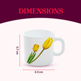 Borosil Larah Lyana Mug Set