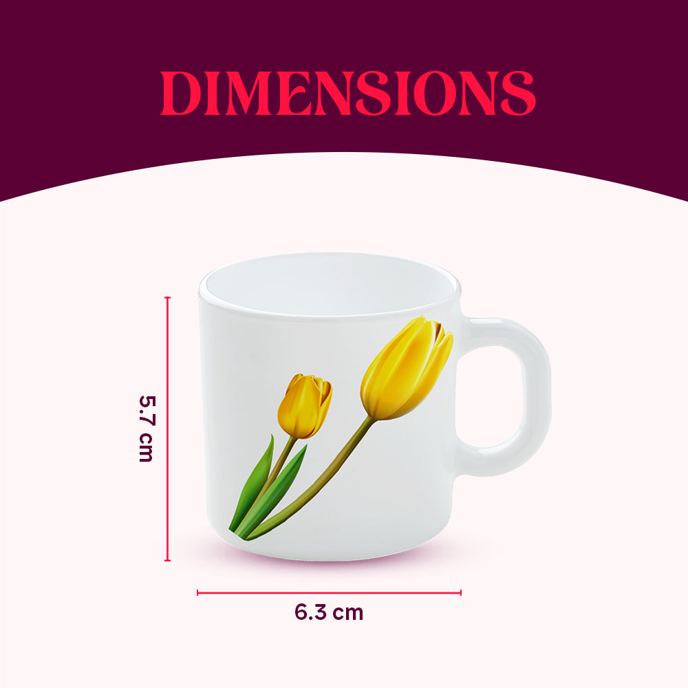 Borosil Larah Lyana Mug Set