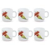 Borosil Larah Red Iris Mug Set