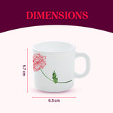 Borosil Larah Red Mist Mug Set