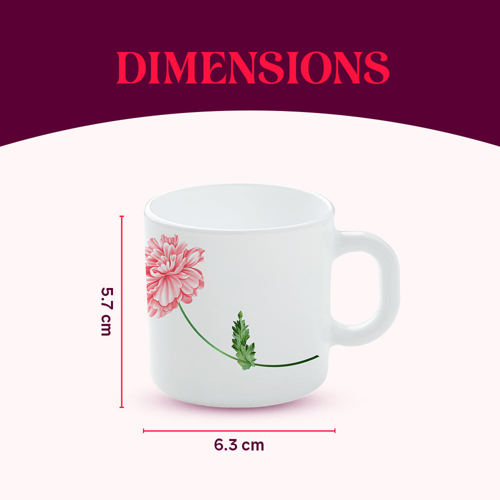 Borosil Larah Red Mist Mug Set