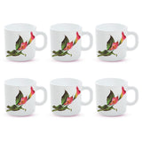 Borosil Larah Stargazer Mug, Set of 6, 100ml