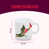 Borosil Larah Stargazer Mug, Set of 6, 100ml