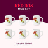 Borosil Larah Red Iris Mug Set