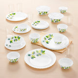 Borosil Larah Green Leaves 35 pc Dinner Set w Vision Glass 35 pc Set