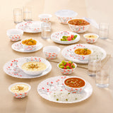 Borosil Larah Red Bud 35 pc Dinner Set w Vision Glass 35 Pic