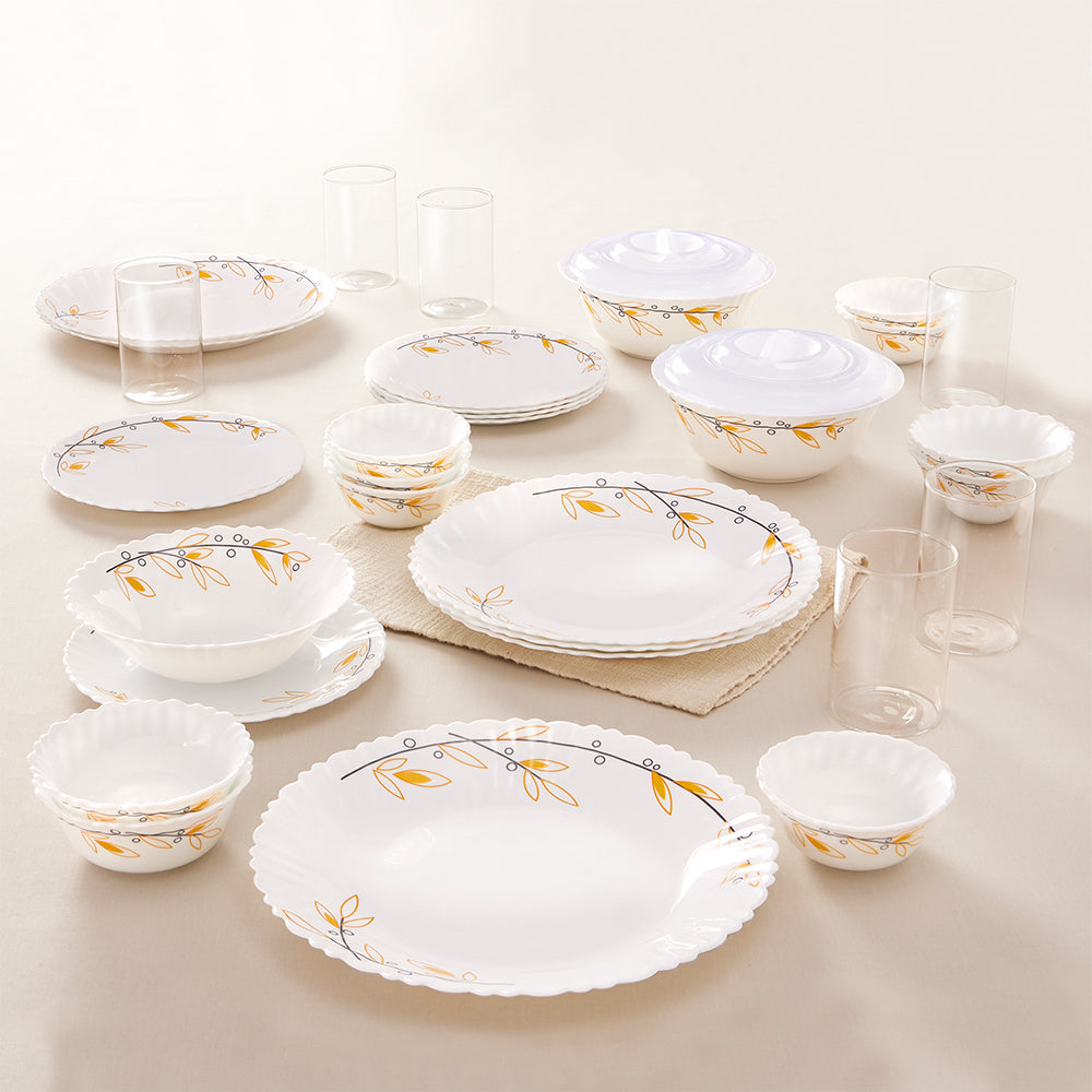 Borosil Larah Red Bud 35 pc Dinner Set w Vision Glass 35 Pic