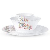 Borosil Larah Red Bud 47 pc Dinner Set