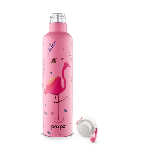 Pexpo Oslo Thermo Steel Bottle | Tri-Ply Vacuum Insulated Hot & Cold Flask | For Daily Use - Pink Flamingo Print 750 ML