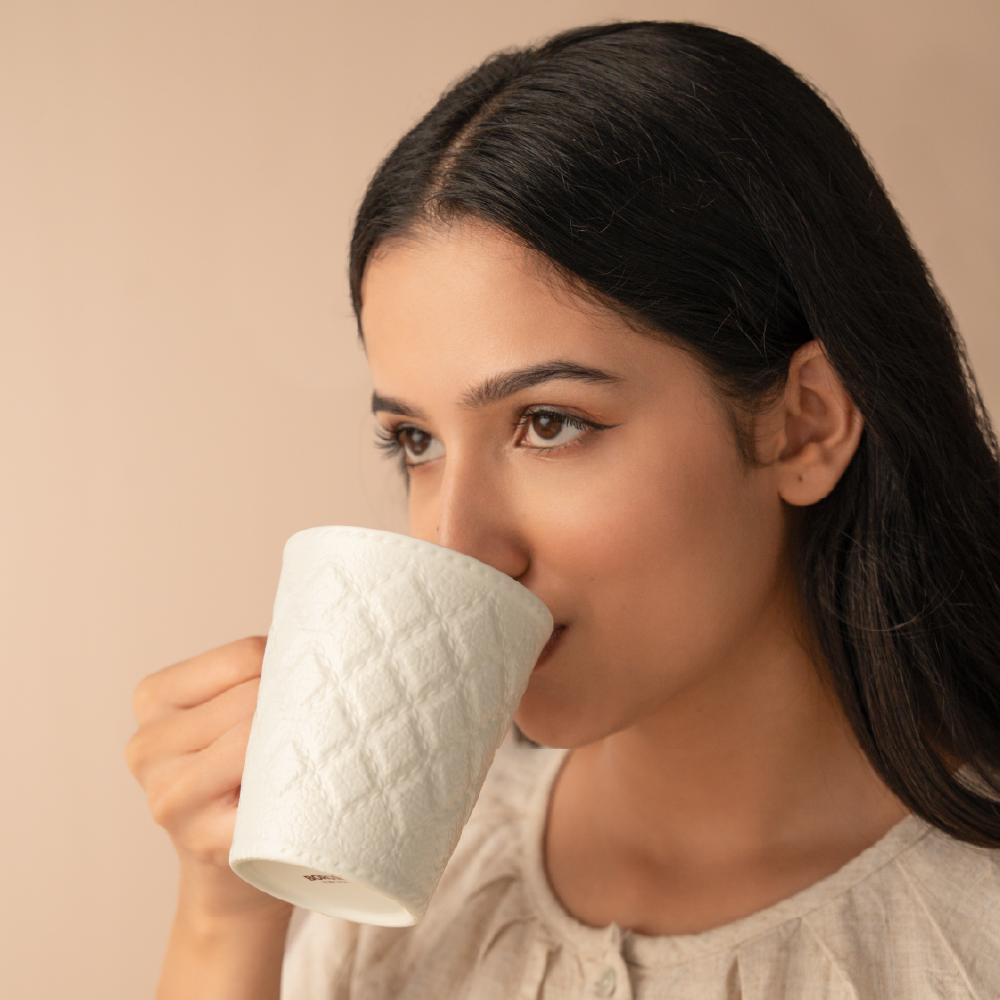 Borosil Velvetto Porcelia Mug Set of 2, 350ml