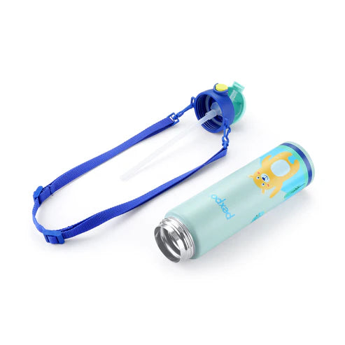 Pexpo Pixy Art Stainless Steel Bottle