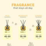 IRIS Apple Cinnamon Reed Diffuser Set 60ml
