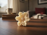 Lerrica Xmas Candle 3D Snowflake Velvet Cinnamon