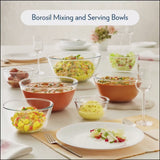 Borosil Mixing & Serving Bowl set