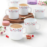 Borosil Larah Pentas Mug Set