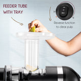 Borosil Nutri Rich Cold Press Juicer 200W