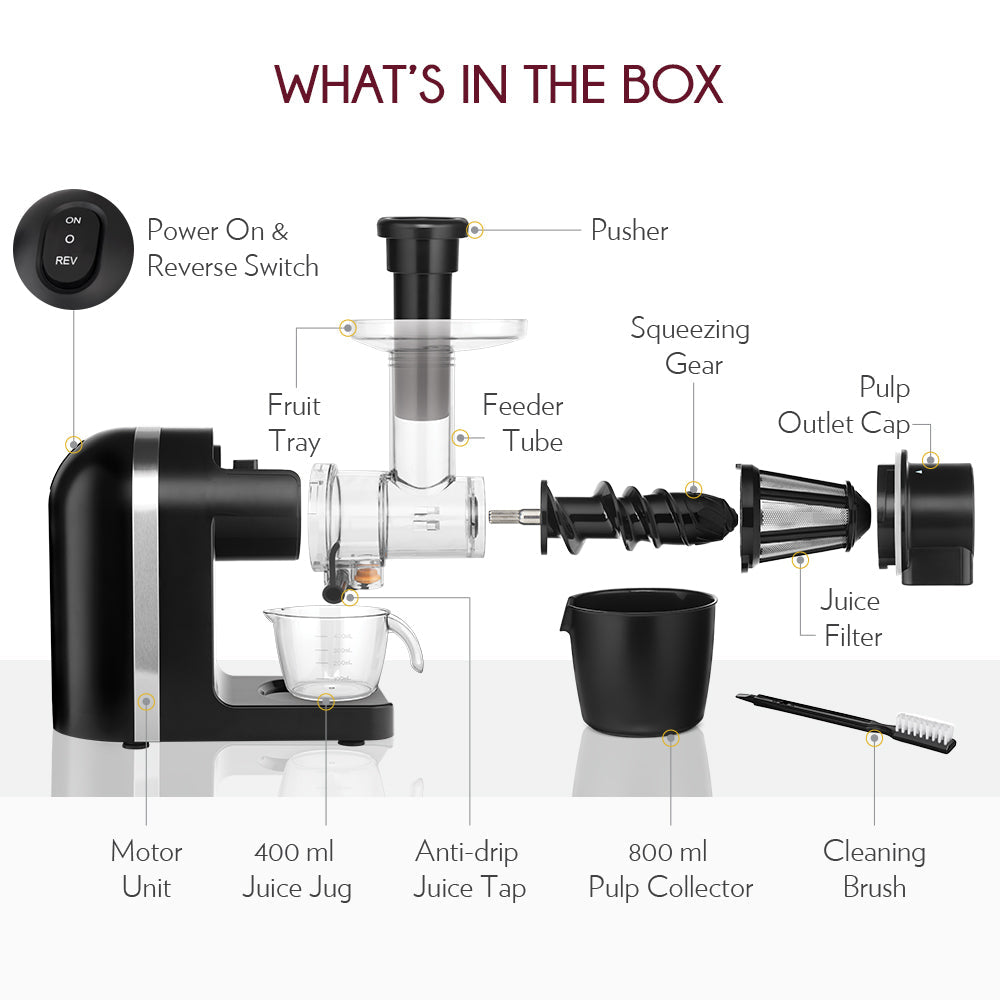 Borosil Nutri Rich Cold Press Juicer 200W