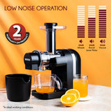 Borosil Nutri Rich Cold Press Juicer 200W
