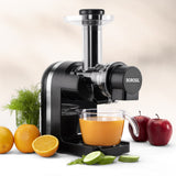 Borosil Nutri Rich Cold Press Juicer 200W