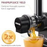 Borosil Nutri Rich Cold Press Juicer 200W