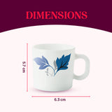 Borosil Larah Ageria Mug Set