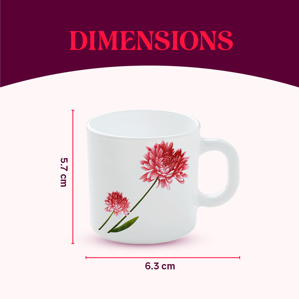 Borosil Larah Belle Mug Set