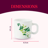 Borosil Larah Fern Mug Set