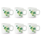 Borosil Larah Fern Mug Set