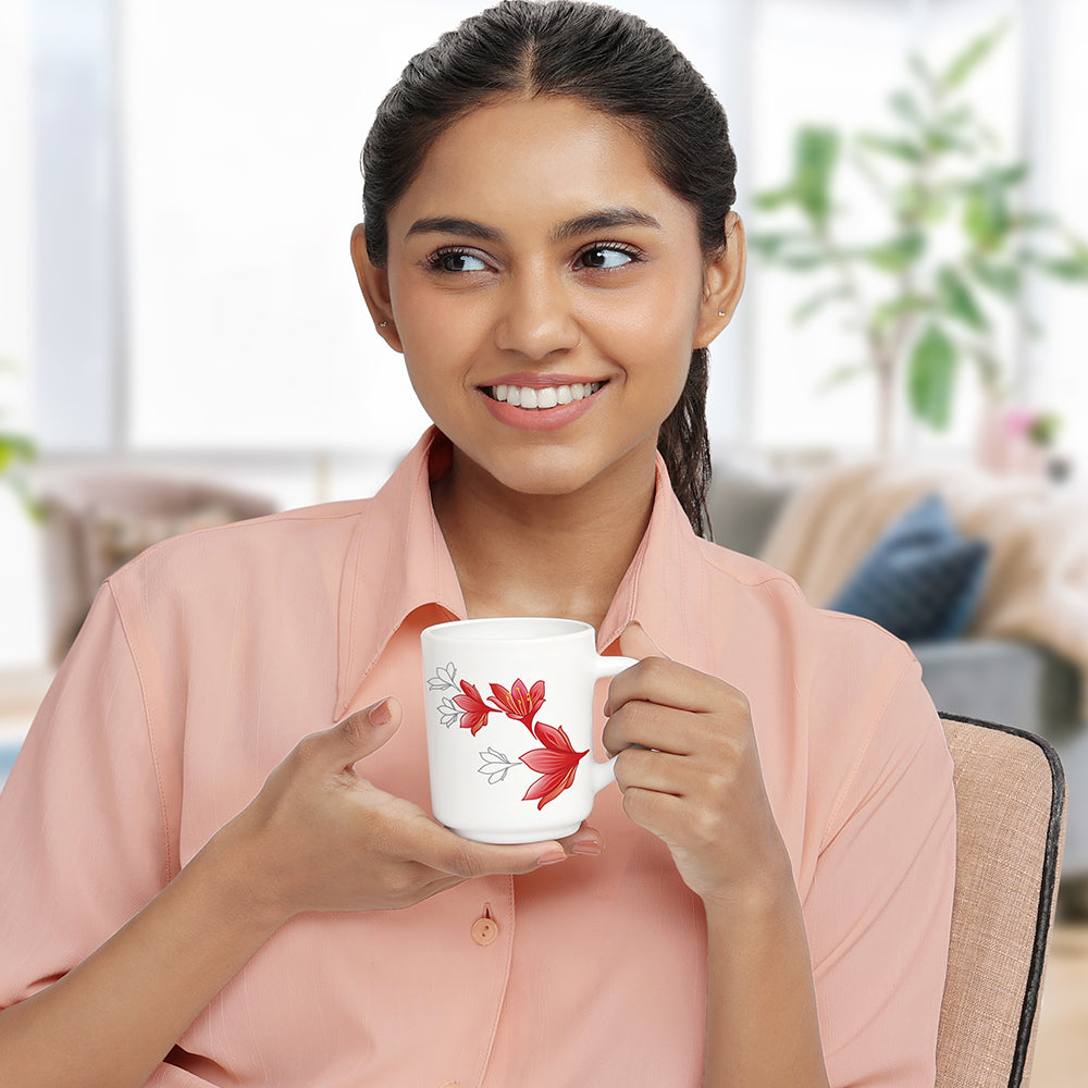 Borosil Larah Ruby Mug Set