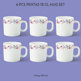 Borosil Larah Pentas Mug Set