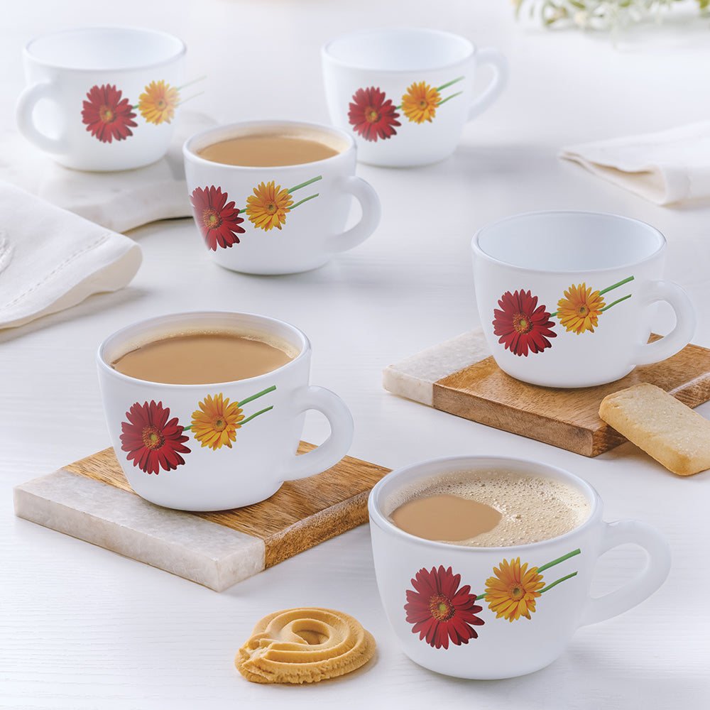 Borosil Larah Zinnia Cup Set  of 6, 140ml