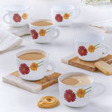 Borosil Larah Zinnia Cup Set  of 6, 140ml