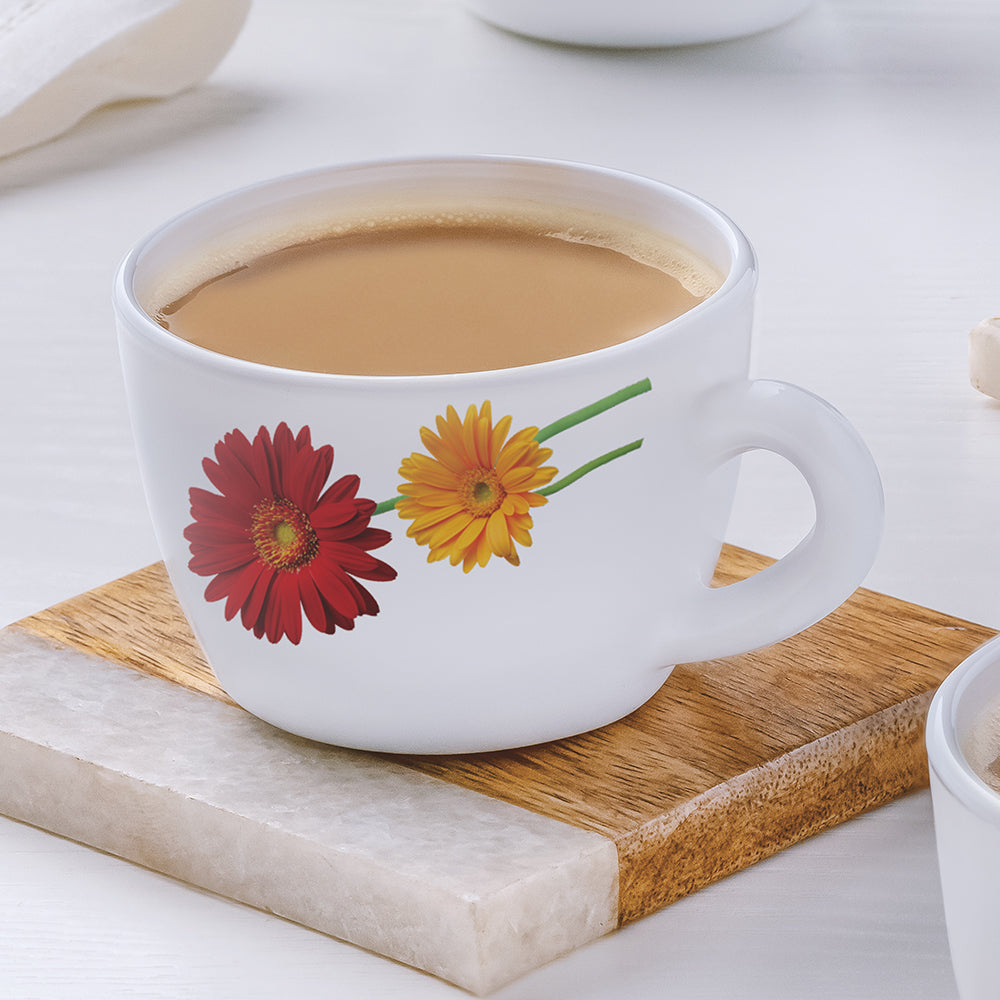 Borosil Larah Zinnia Cup Set  of 6, 140ml