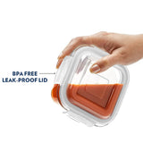 Borosil Tuff-Glass Klip n Store, Square, Set of 2, Containers, 320ml