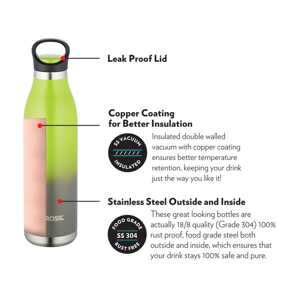 Borosil Colour Crush Double Wall Bottle, Violet 700ML
